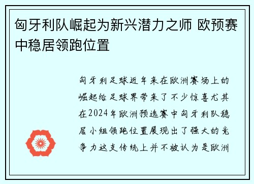 匈牙利队崛起为新兴潜力之师 欧预赛中稳居领跑位置