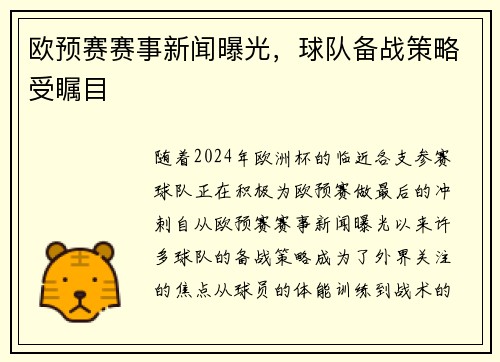 欧预赛赛事新闻曝光，球队备战策略受瞩目