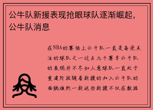 公牛队新援表现抢眼球队逐渐崛起，公牛队消息