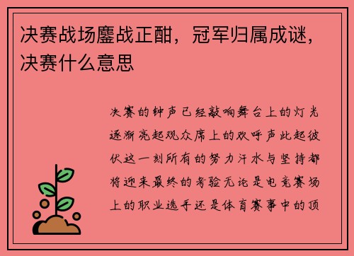 决赛战场鏖战正酣，冠军归属成谜，决赛什么意思