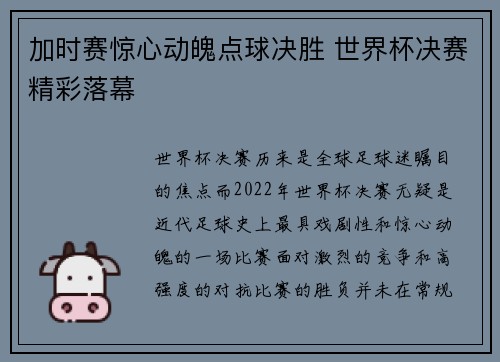 加时赛惊心动魄点球决胜 世界杯决赛精彩落幕