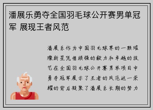 潘展乐勇夺全国羽毛球公开赛男单冠军 展现王者风范